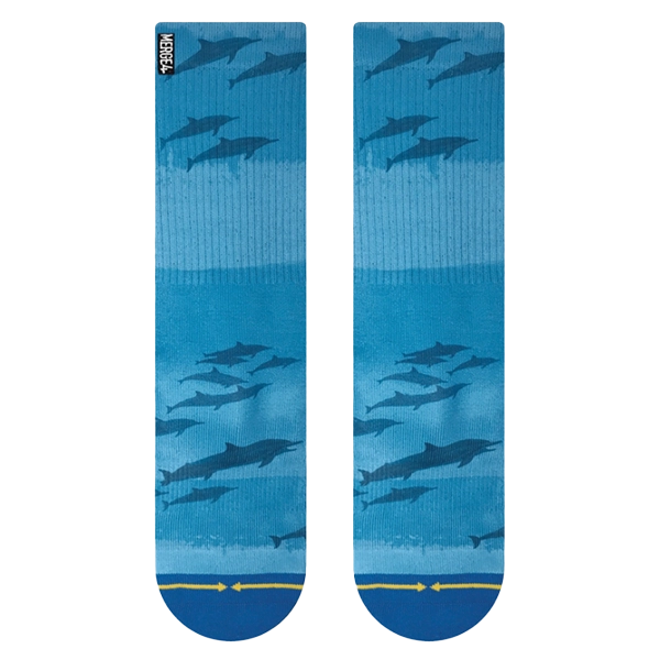Dave Nelson Dolphins